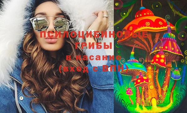твердый Балахна