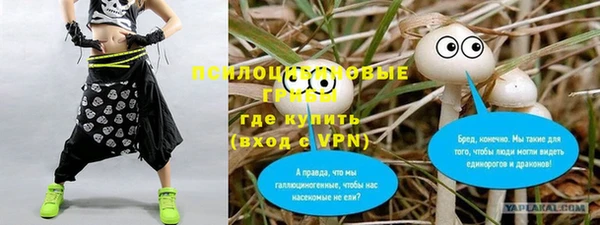 PSILOCYBIN Балабаново