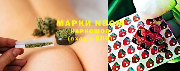 PSILOCYBIN Балабаново